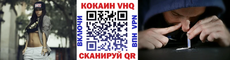 Cocaine FishScale  Купить закладки  Нижняя Тура 