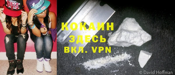 COCAINE Богородицк