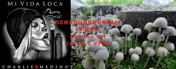 COCAINE Богородицк