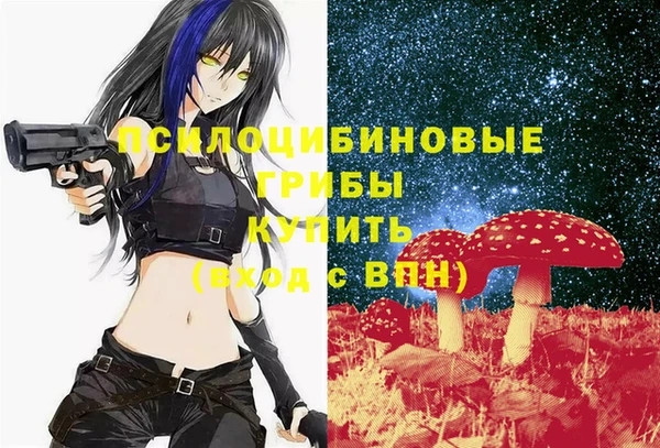 COCAINE Богородицк