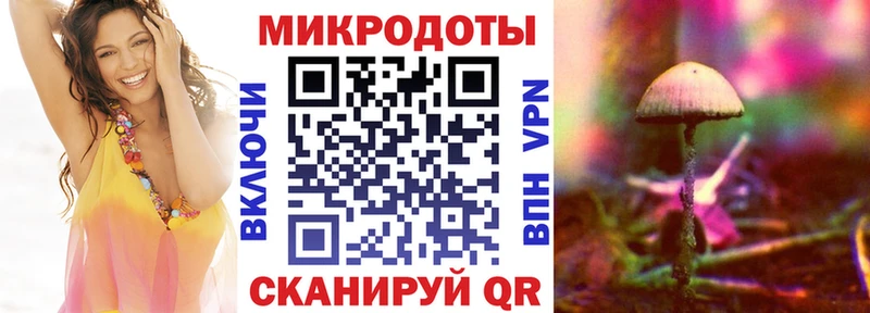 Псилоцибиновые грибы Psilocybe  Купить  Нижняя Тура 